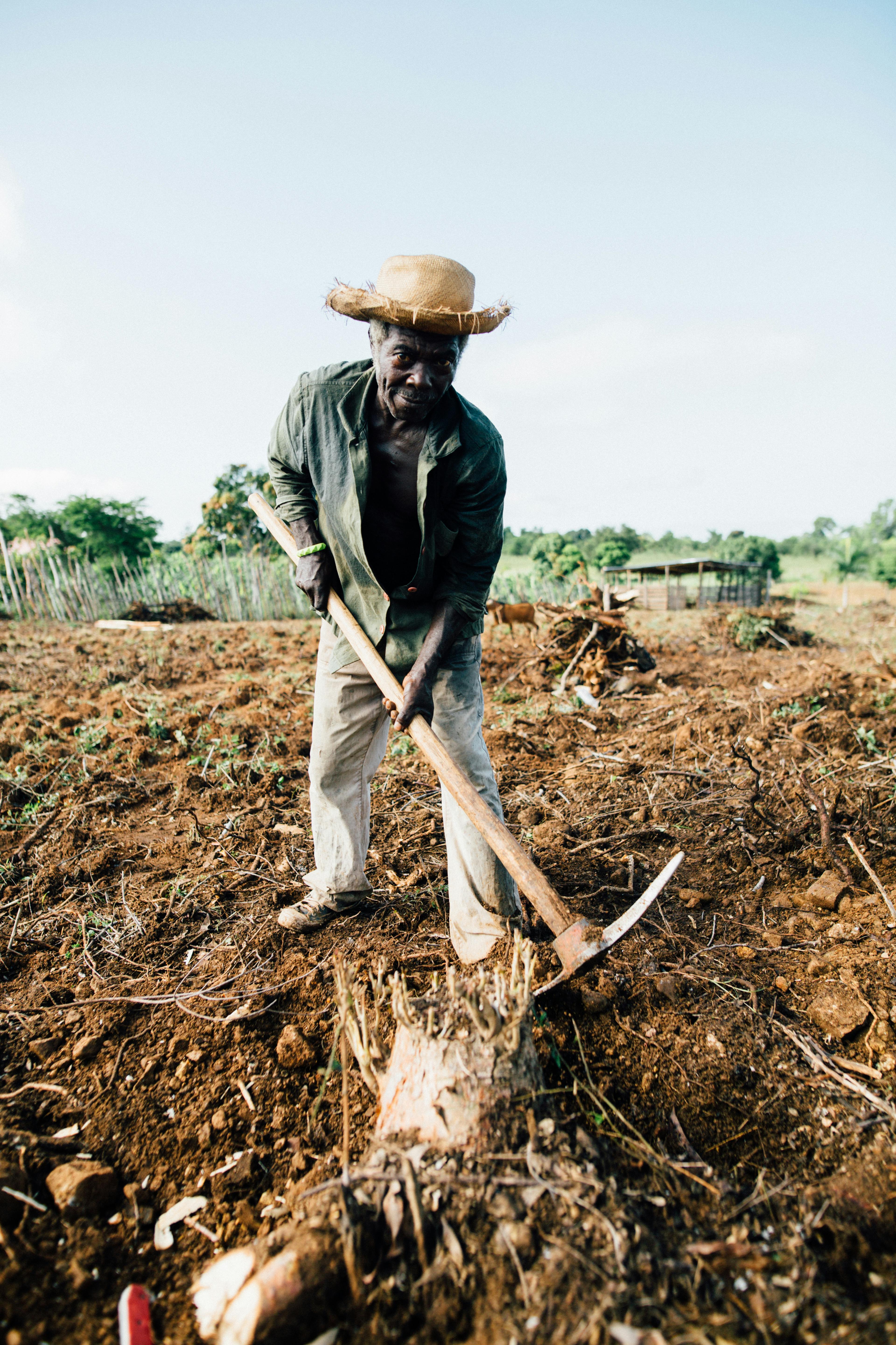 Farmer preparing field
