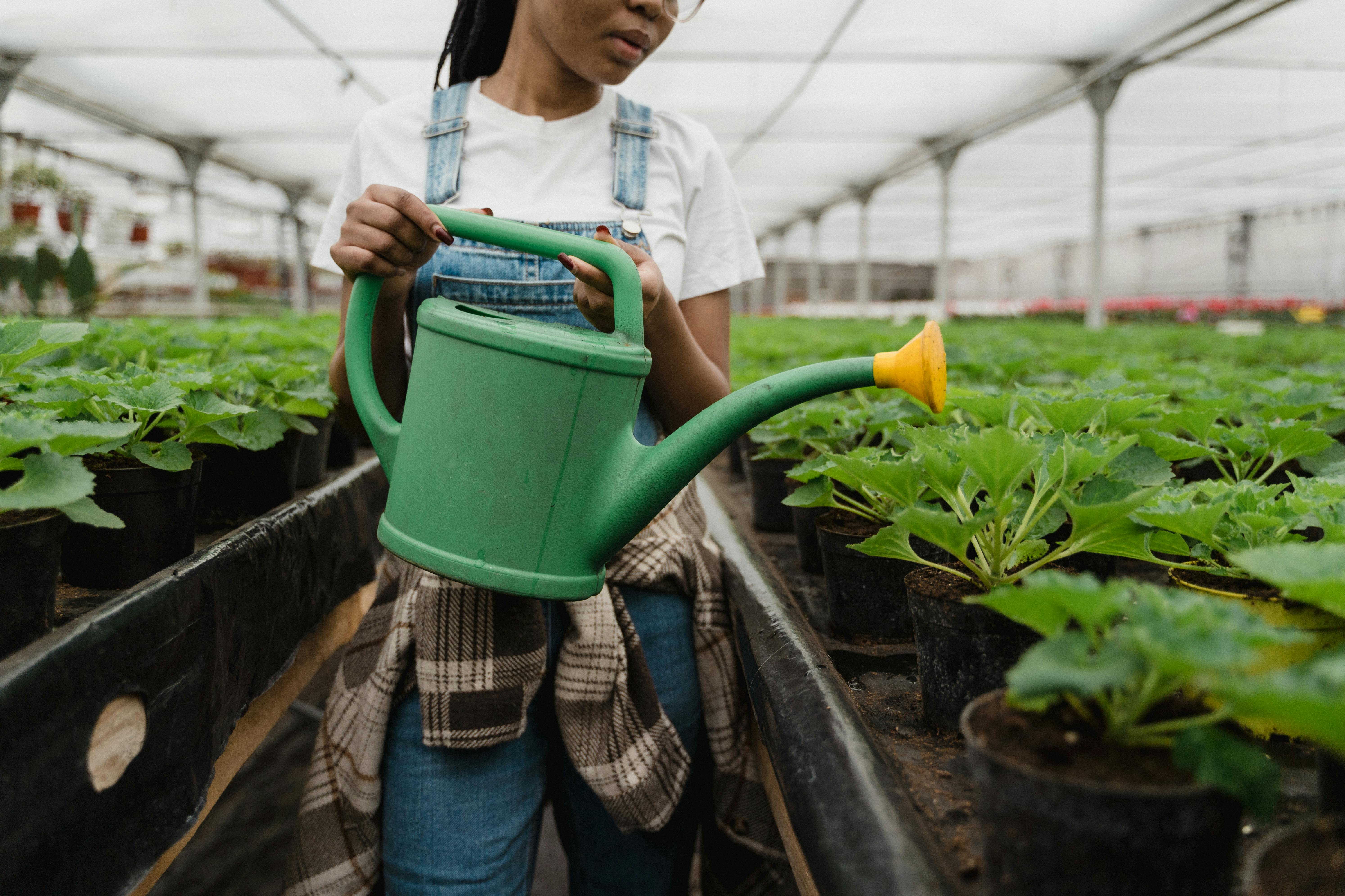Farmer tending to plants
